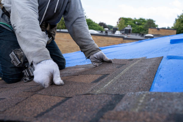 Best Metal Roofing Installation  in Milton, DE